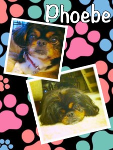 Processed with Moldiv