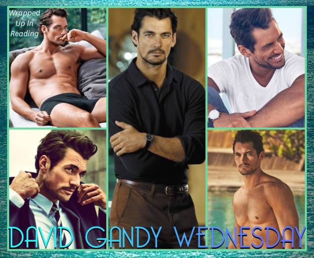 13497686_1924509854442168_8639409114709721371_o