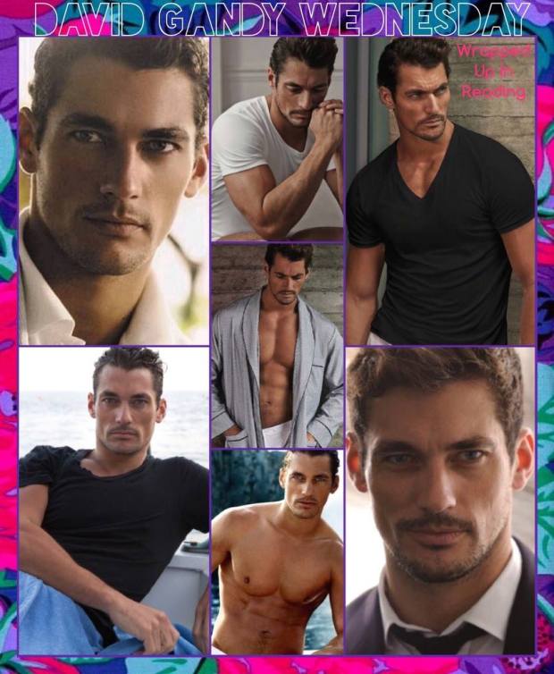 13937800_1948110312082122_209874913237122778_o