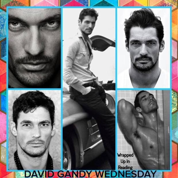 14712951_1989378571288629_6641513832361072231_o