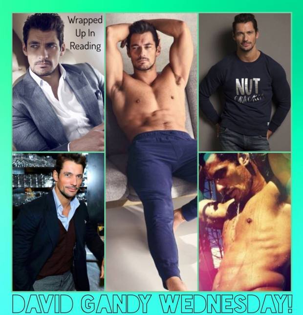 14940145_2003368346556318_2888832838888022685_o