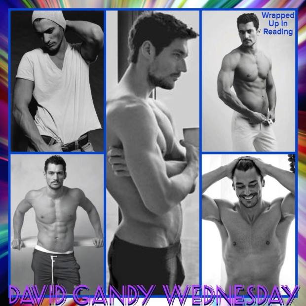 15250876_2017445318481954_8485567885036798907_o