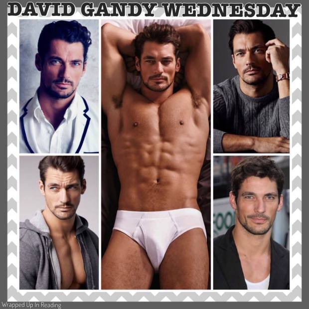 15259543_2016711465222006_9195922147317921087_o