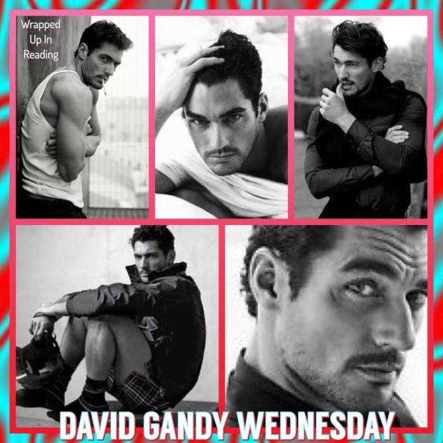 15326238_2023664947859991_4511767257677109488_o