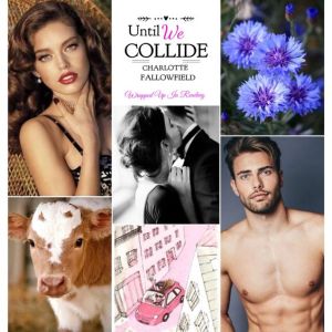 49b17ddcac781c2a4e764074bcfbb667