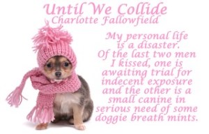 Funnily Dressed Chihuahua for Cold Weather