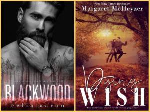 15800530_2038694843023668_5284174932582627042_o