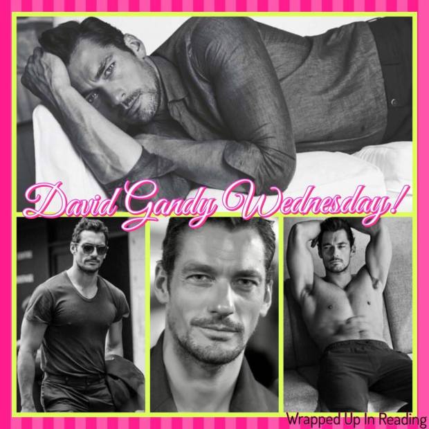 16112520_2046942795532206_4764874296612428436_o