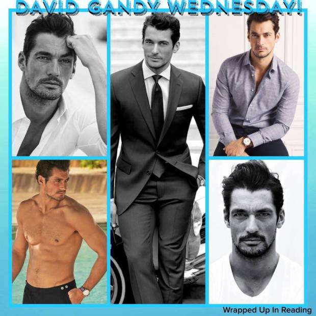 16463513_2059868540906298_3287116603957042214_o