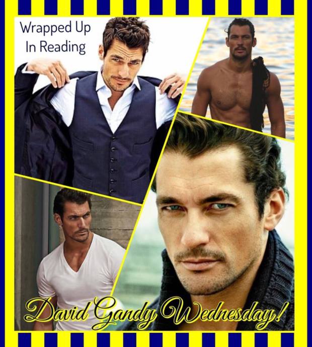 16904628_2072595176300301_7783677908690680879_o